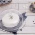 Aparelho de Jantar 20 Peças Cerâmica Mail Order – Oxford Porcelanas